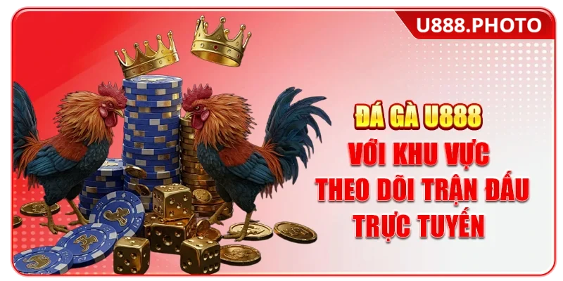 Đá gà U888 với khu vực theo dõi trận đấu trực tuyến